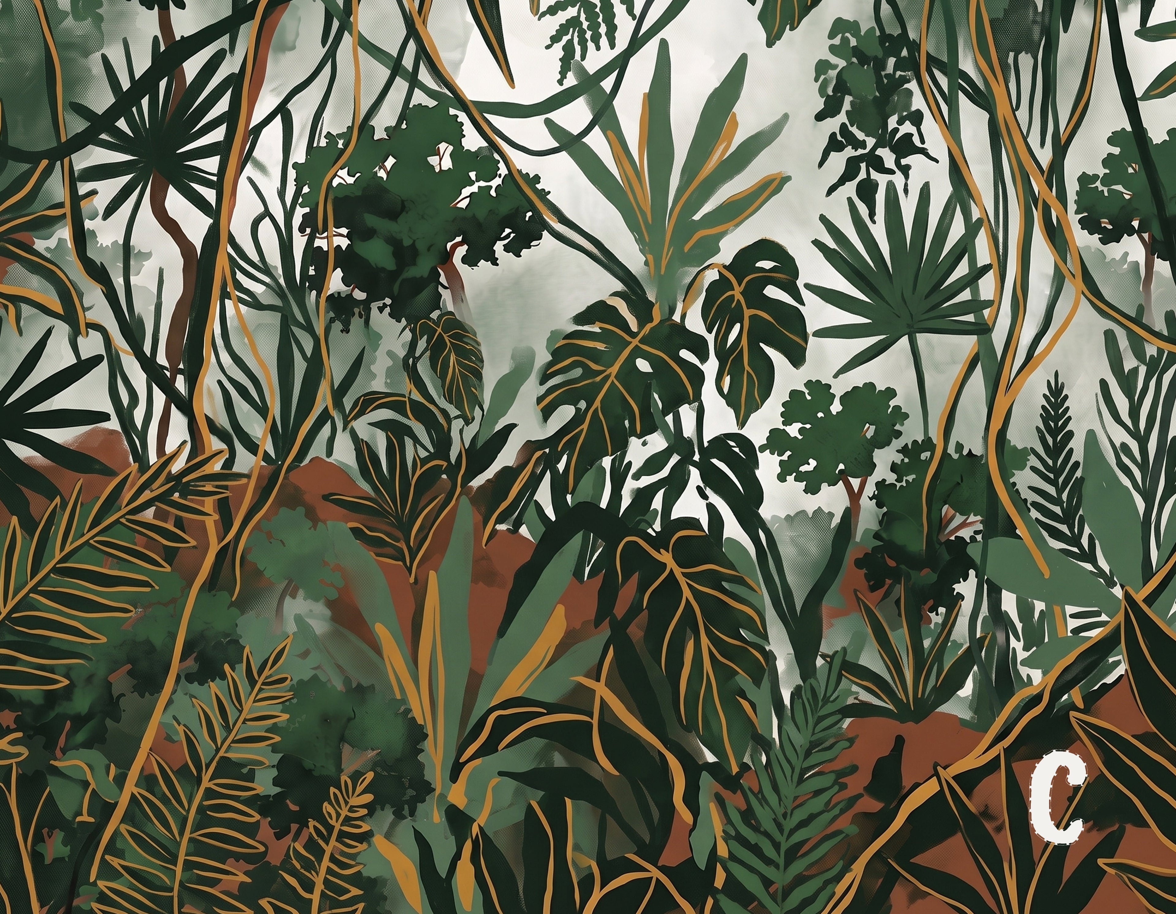 Rainforest Canopy